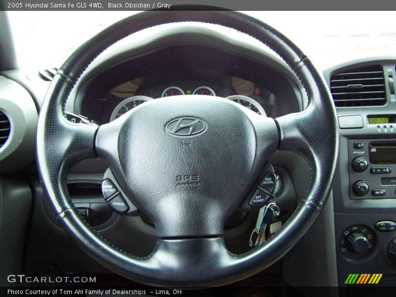 Black Obsidian / Gray 2005 Hyundai Santa Fe GLS 4WD