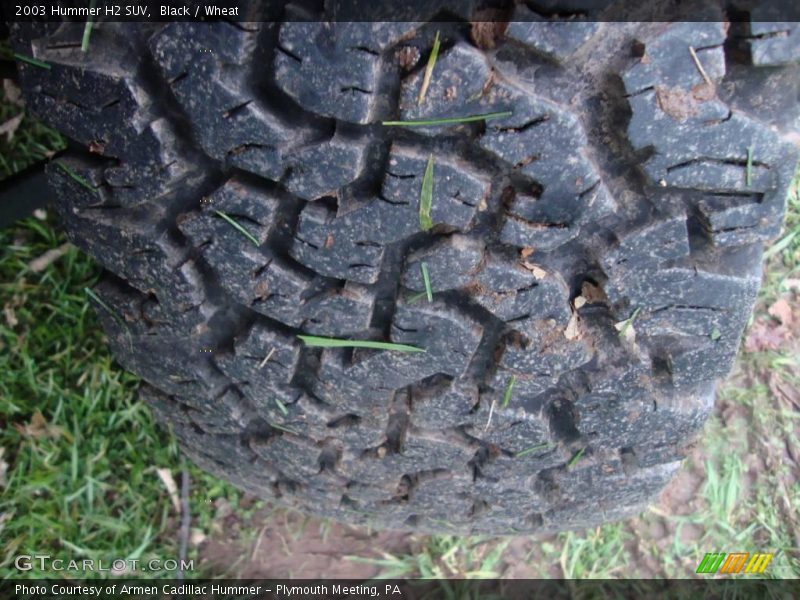 Black / Wheat 2003 Hummer H2 SUV