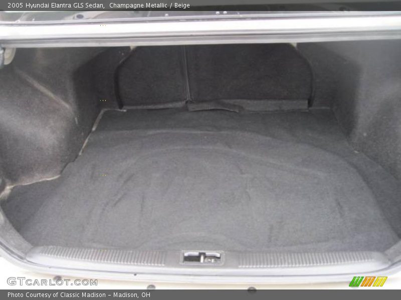 Champagne Metallic / Beige 2005 Hyundai Elantra GLS Sedan
