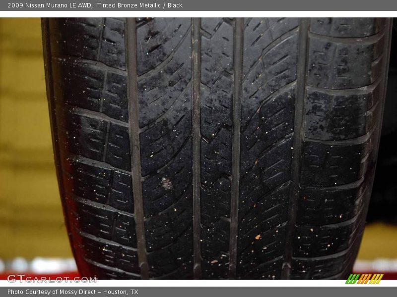 Tinted Bronze Metallic / Black 2009 Nissan Murano LE AWD