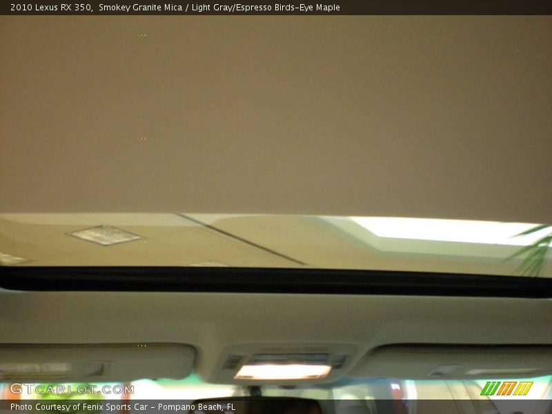 Smokey Granite Mica / Light Gray/Espresso Birds-Eye Maple 2010 Lexus RX 350