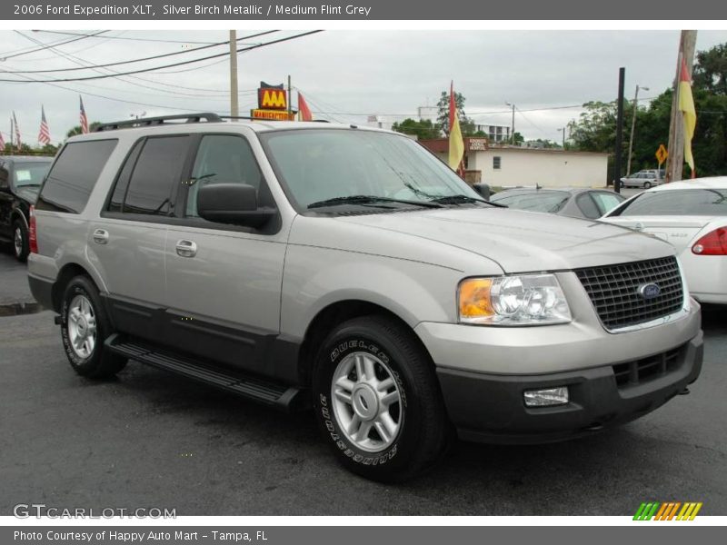 Silver Birch Metallic / Medium Flint Grey 2006 Ford Expedition XLT