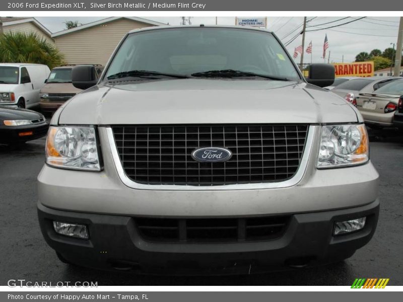 Silver Birch Metallic / Medium Flint Grey 2006 Ford Expedition XLT