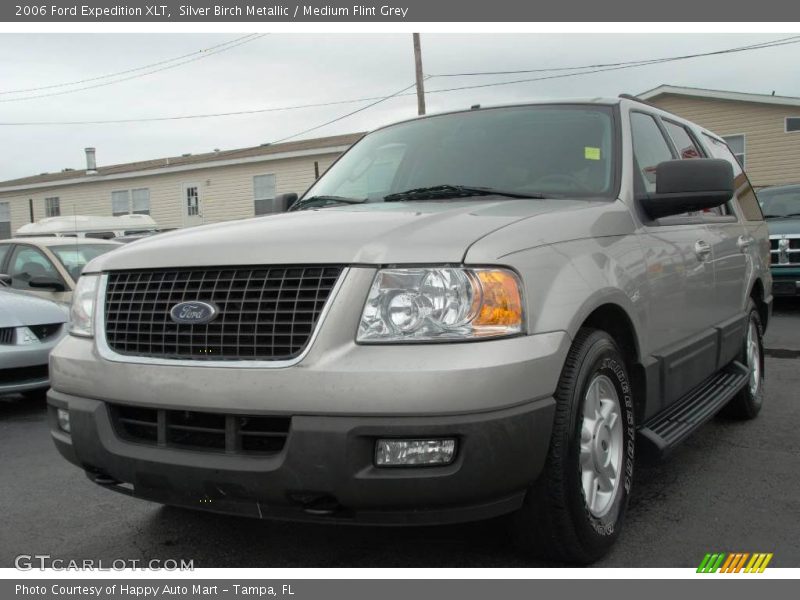 Silver Birch Metallic / Medium Flint Grey 2006 Ford Expedition XLT