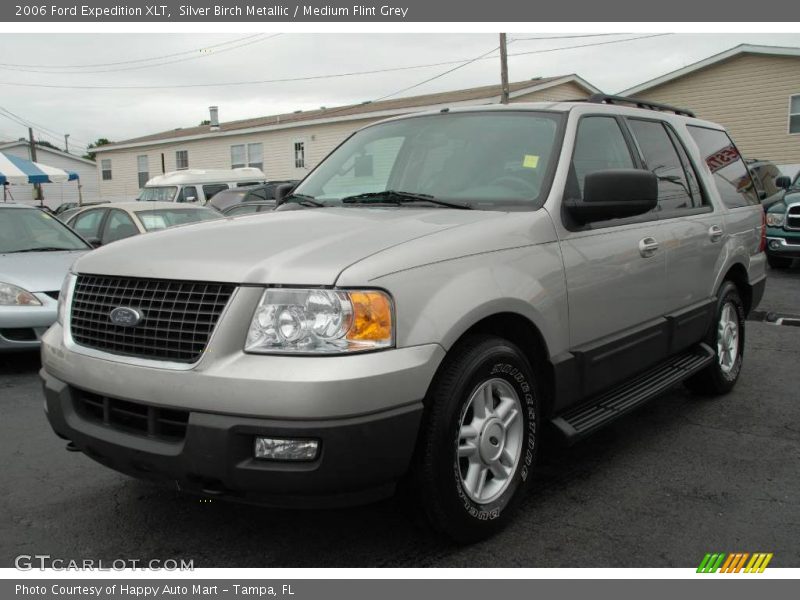 Silver Birch Metallic / Medium Flint Grey 2006 Ford Expedition XLT
