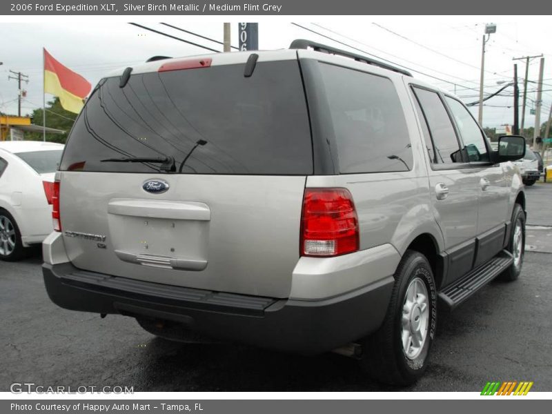 Silver Birch Metallic / Medium Flint Grey 2006 Ford Expedition XLT