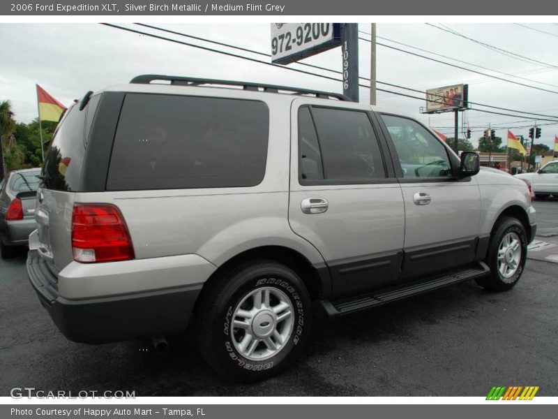 Silver Birch Metallic / Medium Flint Grey 2006 Ford Expedition XLT