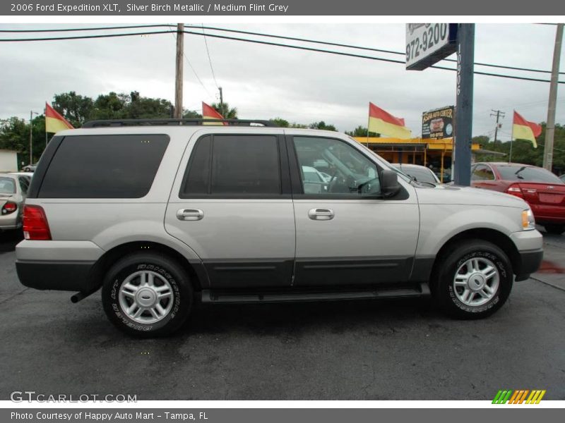 Silver Birch Metallic / Medium Flint Grey 2006 Ford Expedition XLT