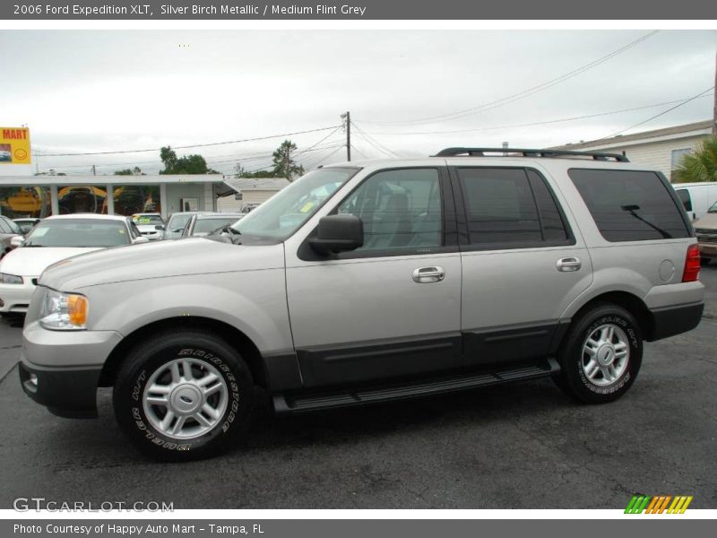 Silver Birch Metallic / Medium Flint Grey 2006 Ford Expedition XLT