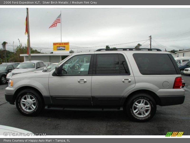 Silver Birch Metallic / Medium Flint Grey 2006 Ford Expedition XLT