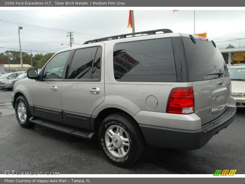 Silver Birch Metallic / Medium Flint Grey 2006 Ford Expedition XLT
