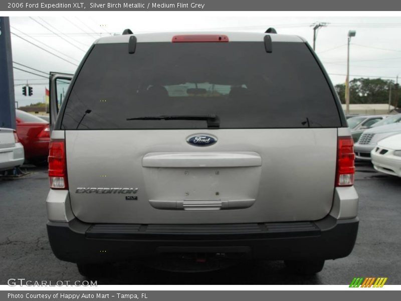 Silver Birch Metallic / Medium Flint Grey 2006 Ford Expedition XLT