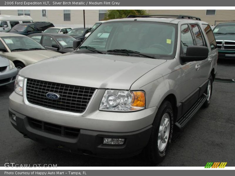 Silver Birch Metallic / Medium Flint Grey 2006 Ford Expedition XLT