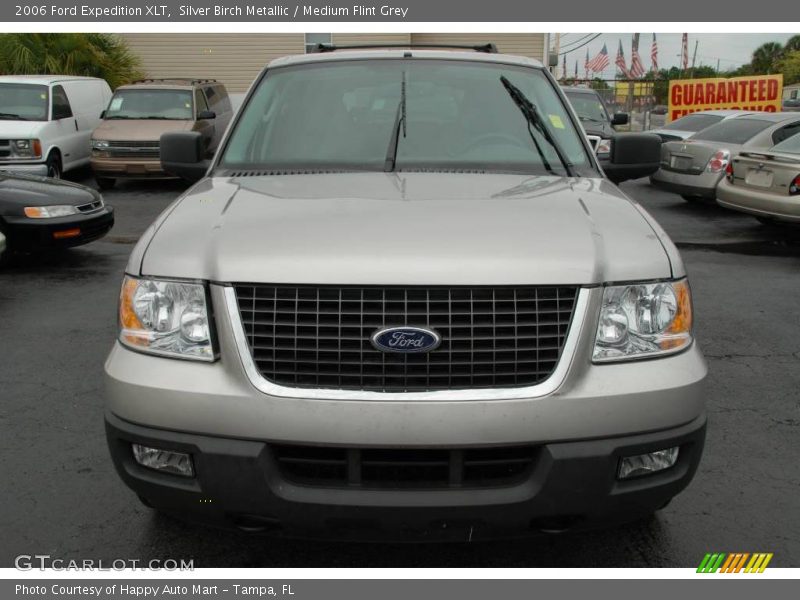 Silver Birch Metallic / Medium Flint Grey 2006 Ford Expedition XLT