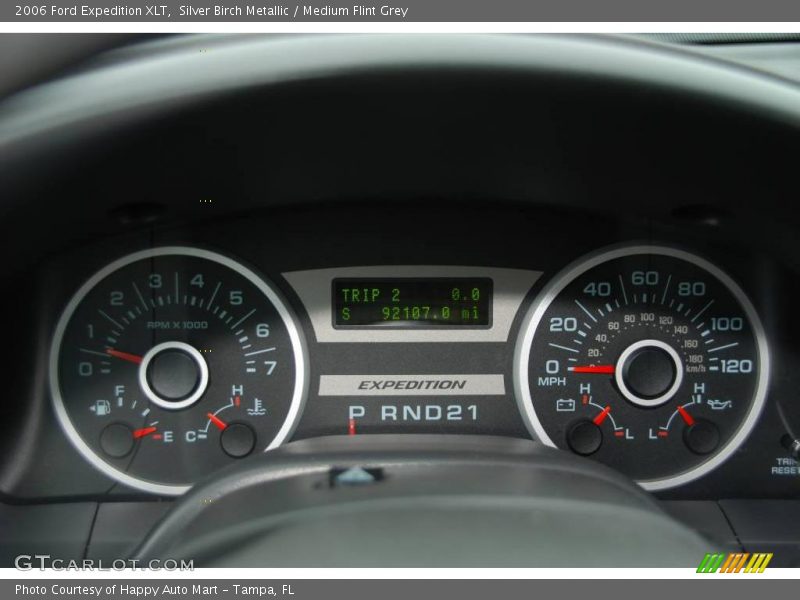 Silver Birch Metallic / Medium Flint Grey 2006 Ford Expedition XLT