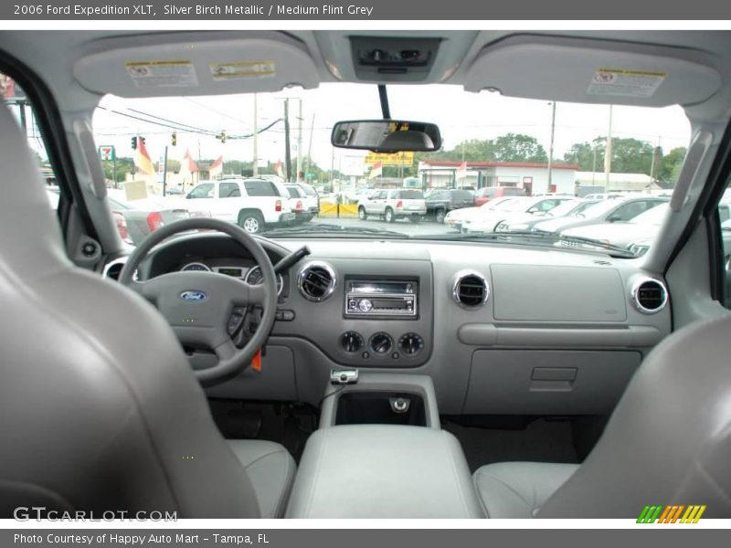 Silver Birch Metallic / Medium Flint Grey 2006 Ford Expedition XLT