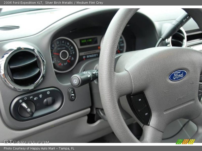 Silver Birch Metallic / Medium Flint Grey 2006 Ford Expedition XLT
