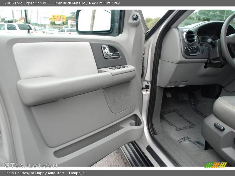 Silver Birch Metallic / Medium Flint Grey 2006 Ford Expedition XLT