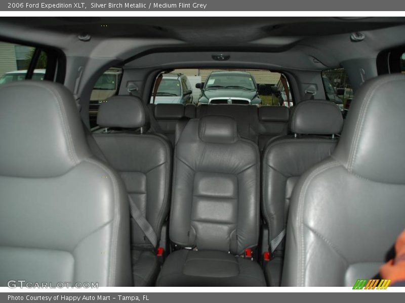 Silver Birch Metallic / Medium Flint Grey 2006 Ford Expedition XLT