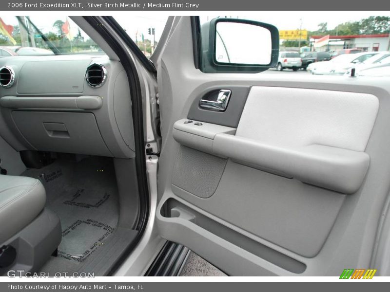 Silver Birch Metallic / Medium Flint Grey 2006 Ford Expedition XLT