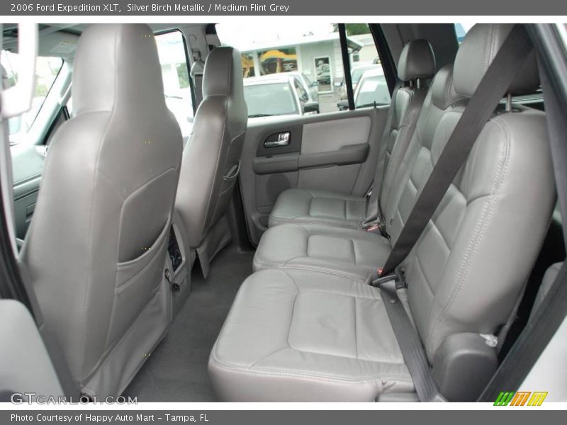 Silver Birch Metallic / Medium Flint Grey 2006 Ford Expedition XLT