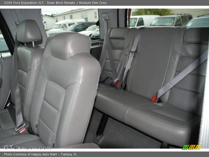 Silver Birch Metallic / Medium Flint Grey 2006 Ford Expedition XLT