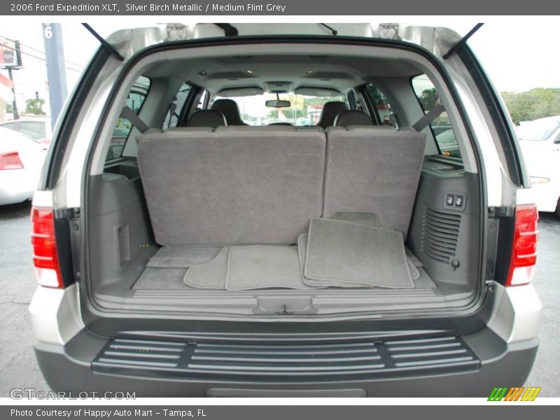 Silver Birch Metallic / Medium Flint Grey 2006 Ford Expedition XLT