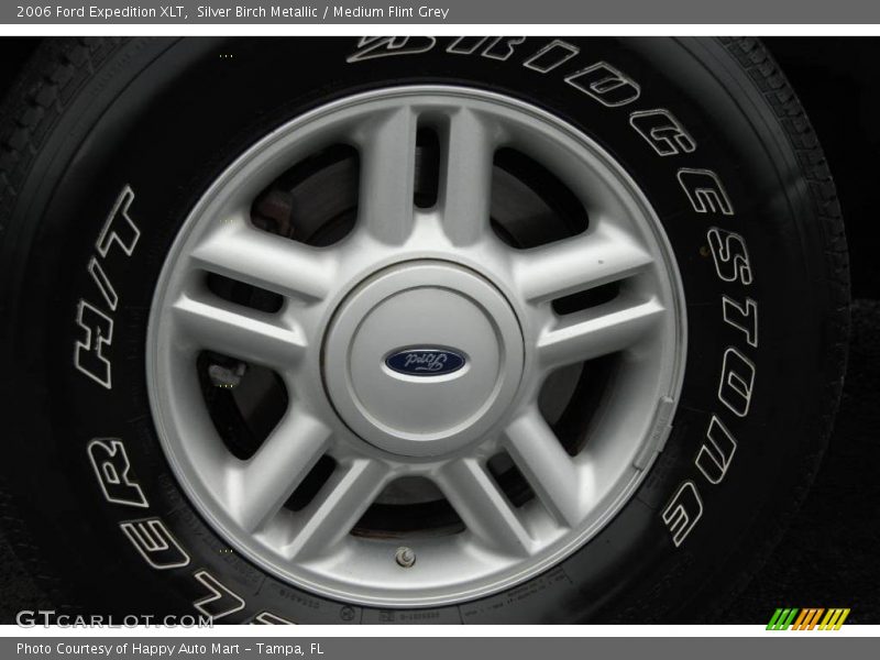 Silver Birch Metallic / Medium Flint Grey 2006 Ford Expedition XLT