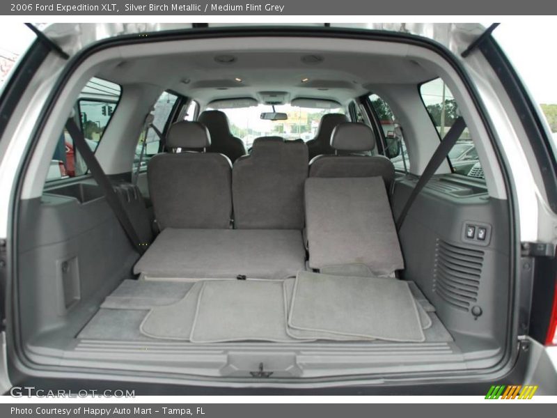 Silver Birch Metallic / Medium Flint Grey 2006 Ford Expedition XLT