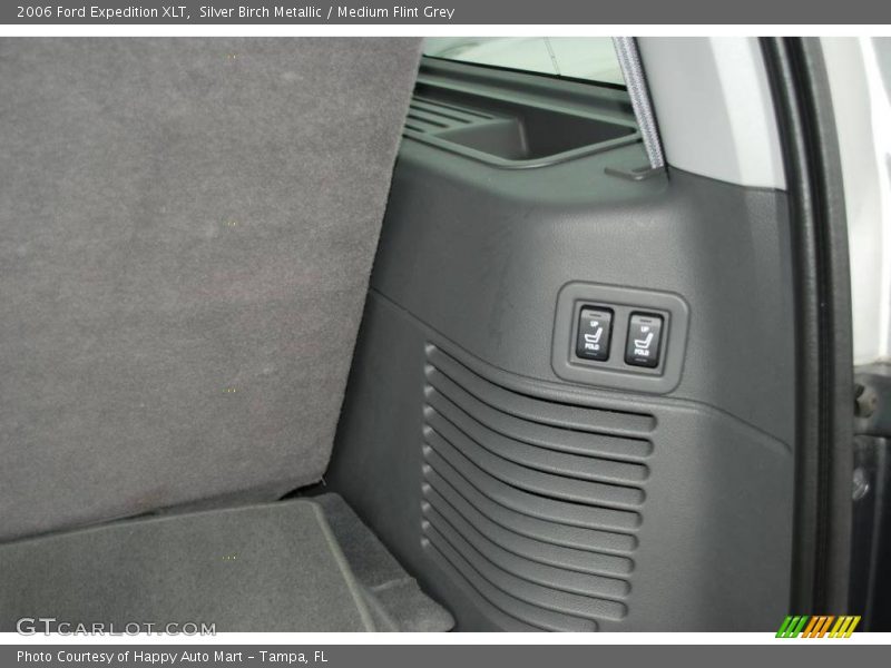Silver Birch Metallic / Medium Flint Grey 2006 Ford Expedition XLT