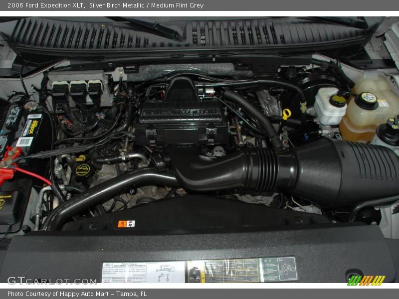 Silver Birch Metallic / Medium Flint Grey 2006 Ford Expedition XLT