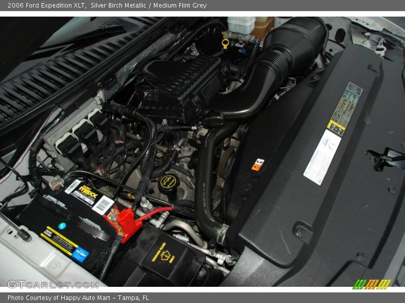 Silver Birch Metallic / Medium Flint Grey 2006 Ford Expedition XLT