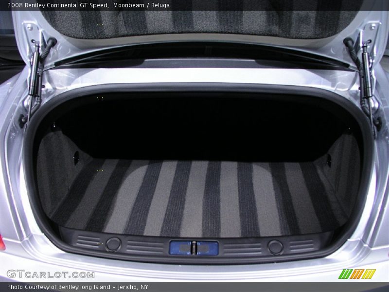 Moonbeam / Beluga 2008 Bentley Continental GT Speed
