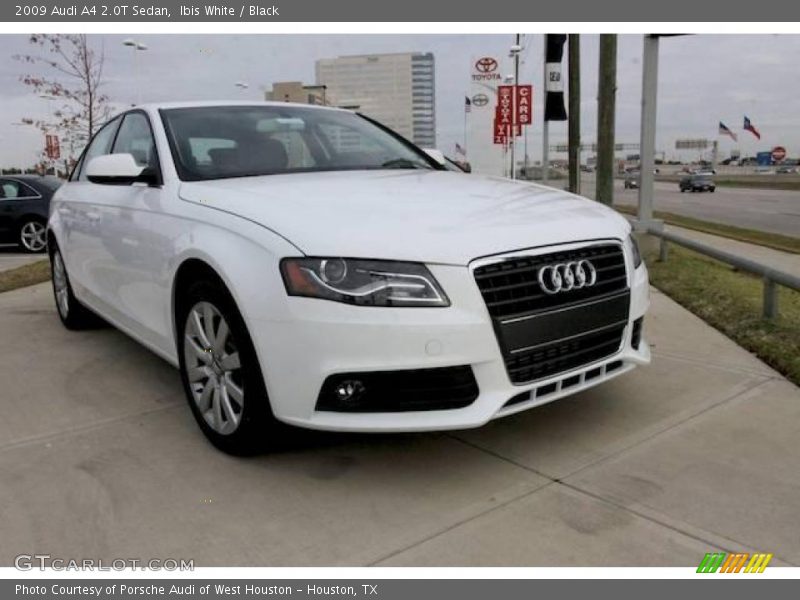 Ibis White / Black 2009 Audi A4 2.0T Sedan
