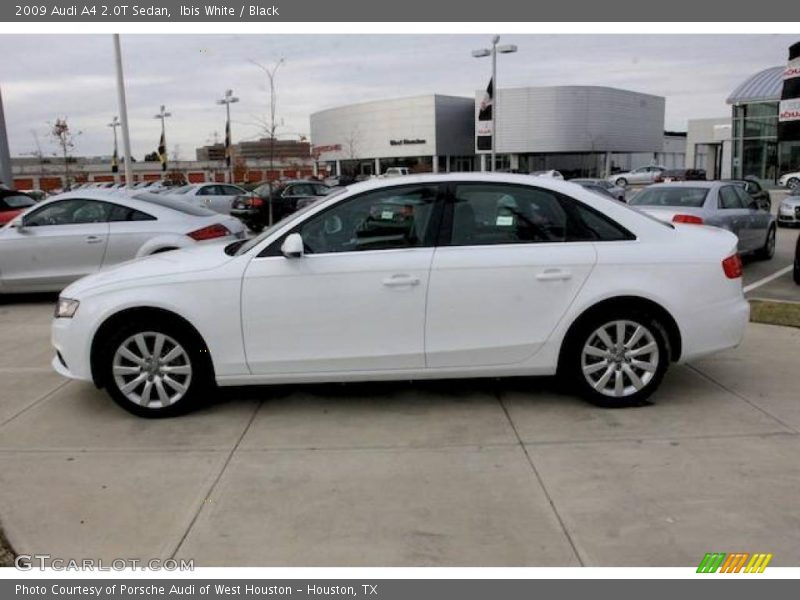 Ibis White / Black 2009 Audi A4 2.0T Sedan