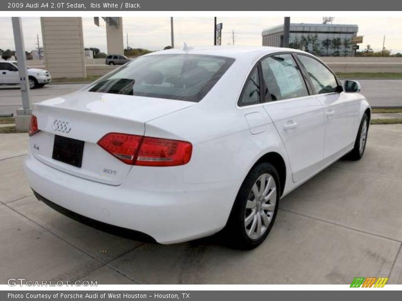 Ibis White / Black 2009 Audi A4 2.0T Sedan
