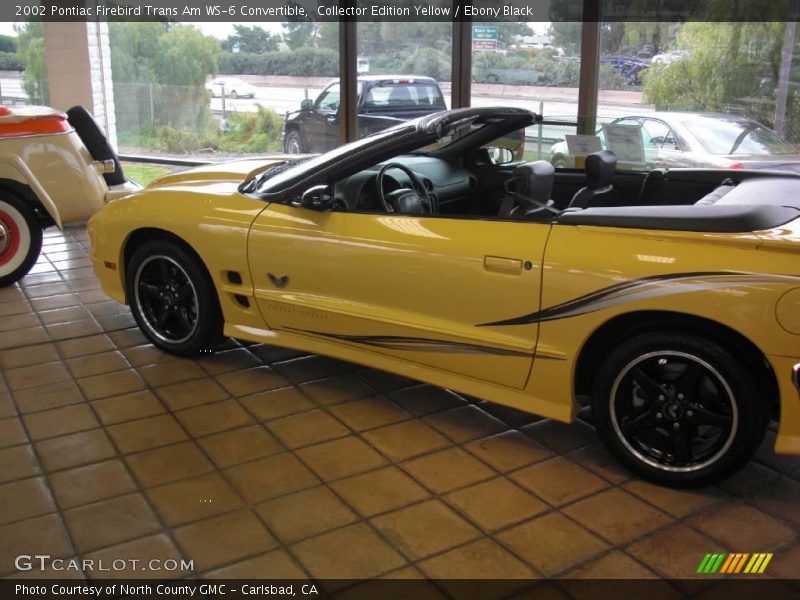 Collector Edition Yellow / Ebony Black 2002 Pontiac Firebird Trans Am WS-6 Convertible