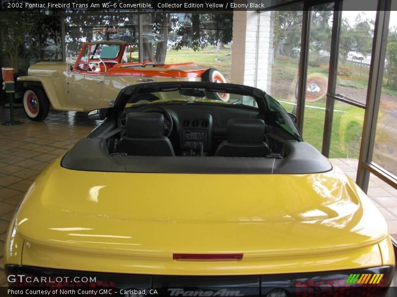 Collector Edition Yellow / Ebony Black 2002 Pontiac Firebird Trans Am WS-6 Convertible