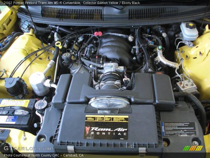 Collector Edition Yellow / Ebony Black 2002 Pontiac Firebird Trans Am WS-6 Convertible