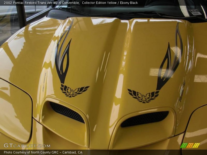Collector Edition Yellow / Ebony Black 2002 Pontiac Firebird Trans Am WS-6 Convertible