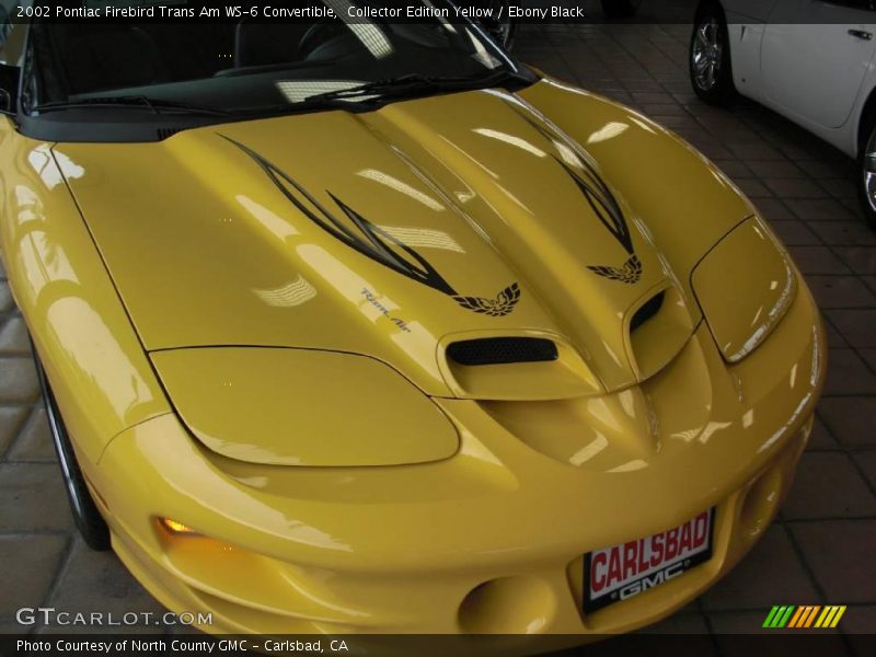 Collector Edition Yellow / Ebony Black 2002 Pontiac Firebird Trans Am WS-6 Convertible