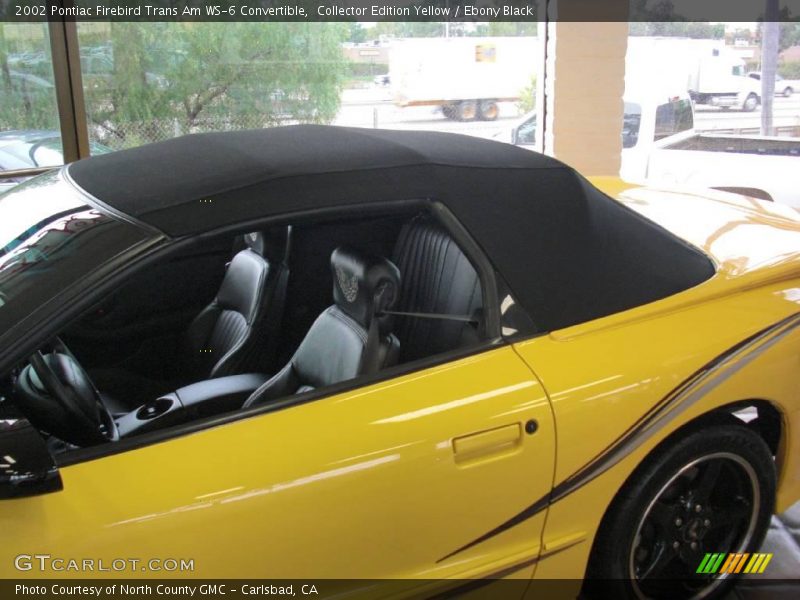 Collector Edition Yellow / Ebony Black 2002 Pontiac Firebird Trans Am WS-6 Convertible