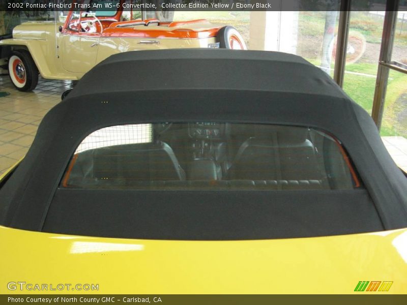 Collector Edition Yellow / Ebony Black 2002 Pontiac Firebird Trans Am WS-6 Convertible