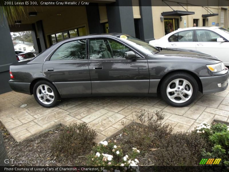 Graphite Gray Metallic / Gray 2001 Lexus ES 300