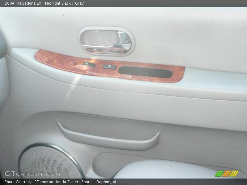 Midnight Black / Gray 2004 Kia Sedona EX