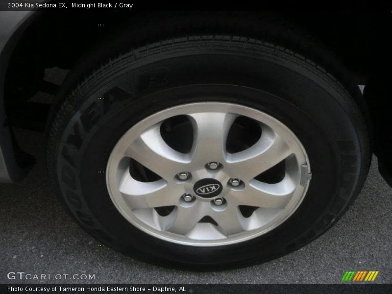 Midnight Black / Gray 2004 Kia Sedona EX