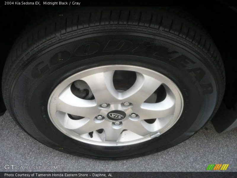 Midnight Black / Gray 2004 Kia Sedona EX