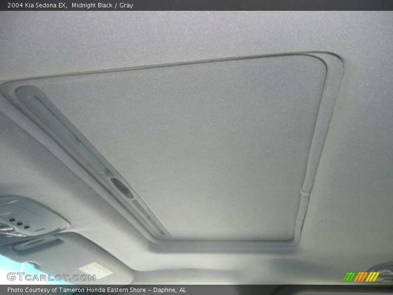 Midnight Black / Gray 2004 Kia Sedona EX