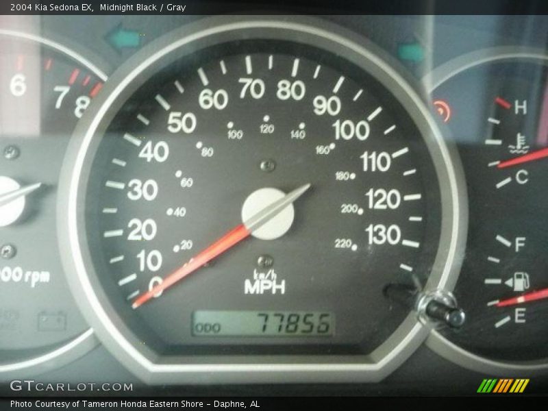 Midnight Black / Gray 2004 Kia Sedona EX