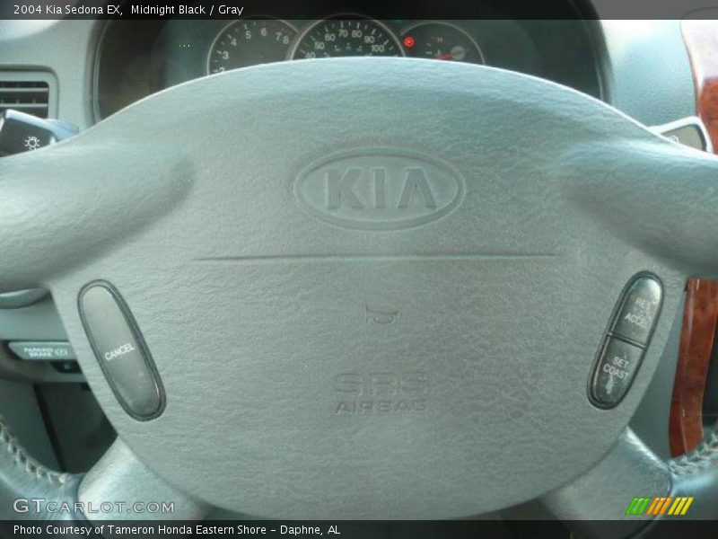 Midnight Black / Gray 2004 Kia Sedona EX
